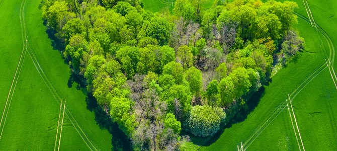 Вызовы и перспективы