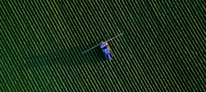 Отрицательные последствия подсечного земледелия и способы их минимизации