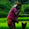 Какое занятие привело к земледелию: ответы и история