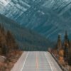 Однажды мы пошли на лысую гору за цветами и саженцами: ВПР 2021, 7 класс