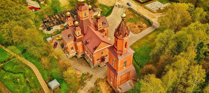 Выращивание зерновых культур на белорусских полях