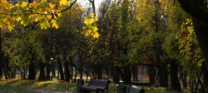 История Растениеводства в Беларуси
