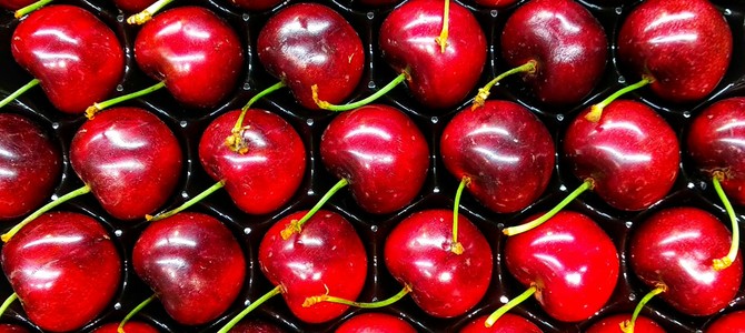 Влияние плодоношения и общего здоровья деревьев от плотности посадки