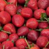 Борная кислота порошок для клубники: секрет супер урожая в садоводстве