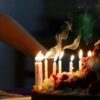 Горчичный жмых применение в садоводстве: опыт и советы
