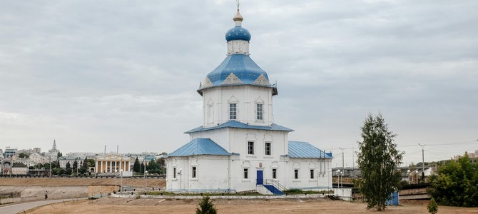 5. Перспективы развития питомников в Чебоксарах