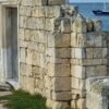 Реферат по растениеводству Крыма: основные отрасли и их развитие
