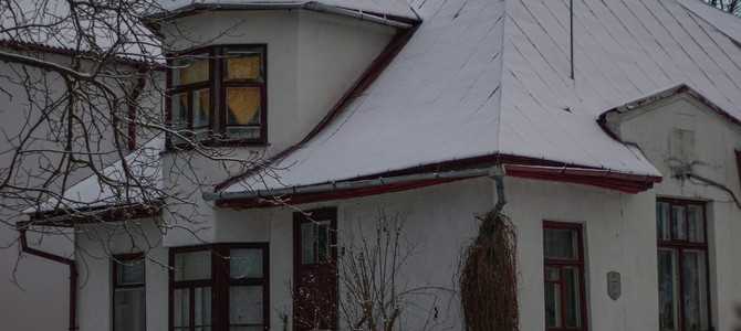 Практические рекомендации по выращиванию овощей