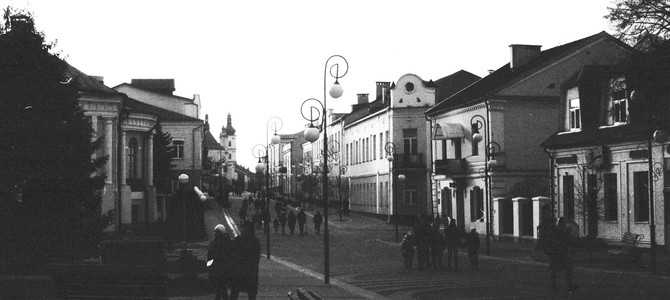 Дачник Пинск в цифрах и фактах
