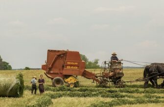 Адаптивное земледелие: основные принципы и технологии