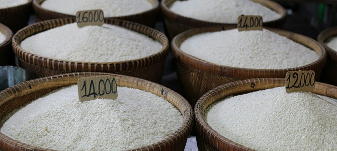 Исследования и разработки в области переработки растениеводственной продукции