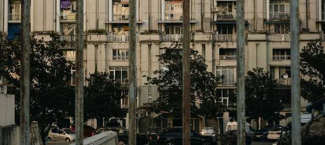 Высокое качество посадочного материала