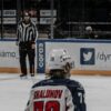 Максим Дачник цена – купить удобрения на OZON