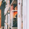 Растения от кротов и землероек: 7 эффективных способов