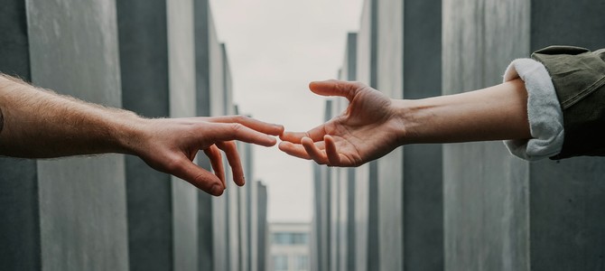 Основные принципы функционирования садоводческих некоммерческих товариществ