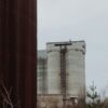 Массив Трубников Бор: Новости и информация для садоводства