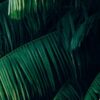 Растениеводство 8 класс: презентация и конспекты