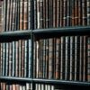 Основные законы земледелия: секреты успешного урожая