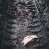Нововведения для дачников в 2024: ключевые изменения и перспективы