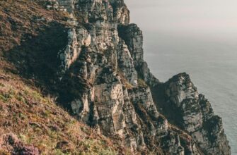 Декоративное растениеводство: Основы топиарного искусства