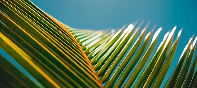 Основные темы презентации