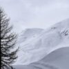 Огородные хитрости и советы дачникам: 10 секретов успешного огородничества
