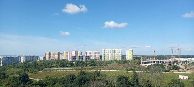 Товары и продукция, доступные для приобретения в магазинах кондитерских изделий и одноразовой посуды в Курске