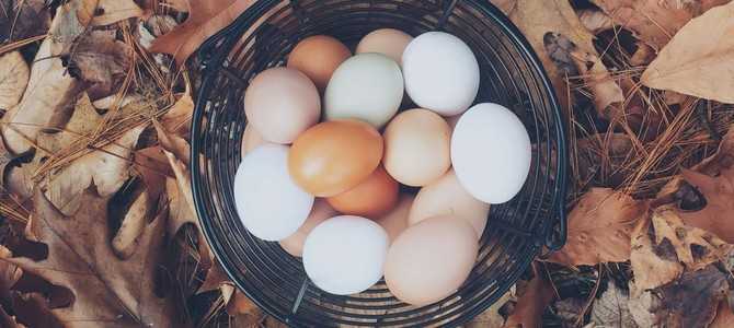 Услуги оптовой цветочной базы Останкино