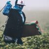 Регулирование индивидуального труда на дачном участке: ключевые аспекты
