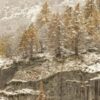 Ландшафтный дизайн дачного участка 10 соток прямоугольной формы: лучшие проекты
