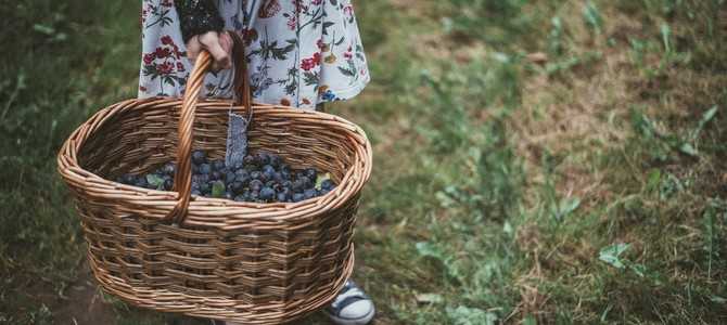 Климатические особенности и прогноз погоды