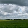 Производство продукции растениеводства: методика анализа и технологии