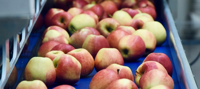 Кейс-стади: как правильный выбор продуктов привел к увеличению урожайности