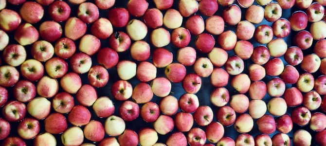 Советы экспертов по выбору продуктов для растениеводства
