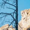 Посадка малины весной в открытый грунт: лучшие советы для Сибири