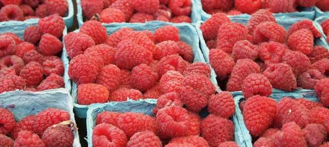 2. Качество продукции в Малинник Ру