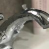 Развитие растениеводства в Курганской области: перспективы и тенденции