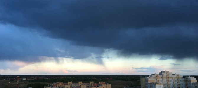 Внедрение современных технологий в растениеводство