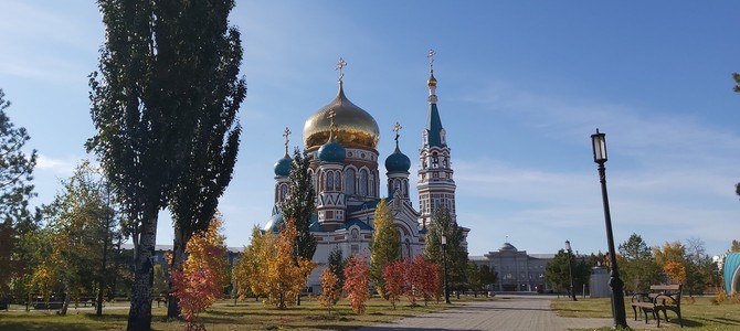 Перспективы развития сельского хозяйства в Омской области