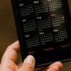 Подкормка саженцев яблони весной: 10 методов для обеспечения обильного урожая