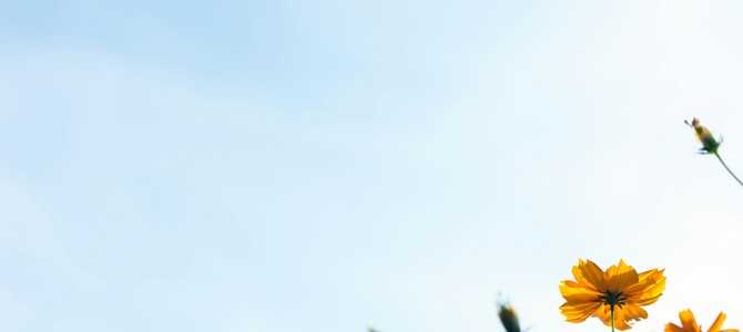 Почему необходима весенняя обработка для здоровья сада