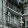 Магнолия Курган Каталог Саженцев - Лучшие предложения на растения