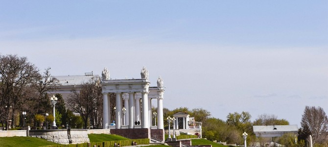Защита саженцев от вредителей и болезней в условиях региона