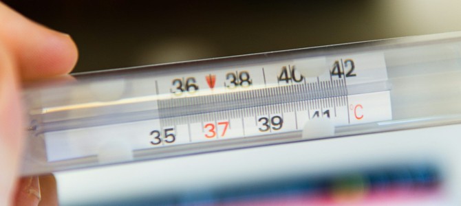 Как выбрать подходящее место для хранения саженцев