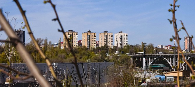 Рекомендации по выбору саженцев в зависимости от целей посадки
