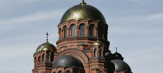 Влияние климата на рост и здоровье саженцев