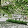 Овощи, которые растут в тени на дачном участке: лучшие рекомендации