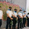 Борьба с землеройками на дачном участке: эффективные методы и советы