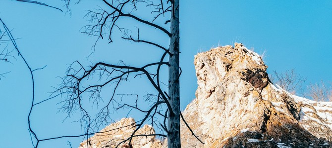 Выбор оптимального места для посадки