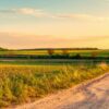 Лучшие почвы для земледелия: секреты выращивания наиболее плодородных участков